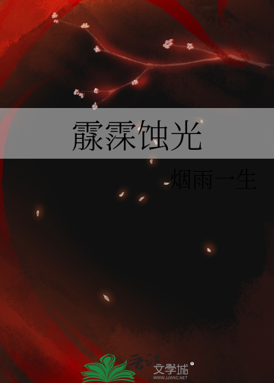 蚀光小说