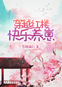 我与林黛玉作文