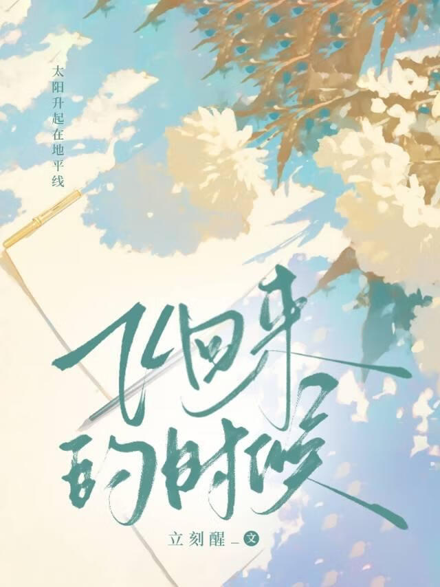 飞出去飞回来