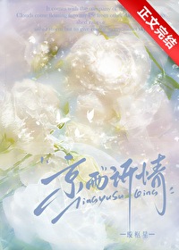 京雨诉情TXT
