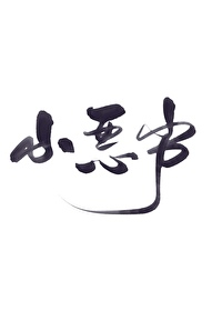 清穿之康熙皇子小说