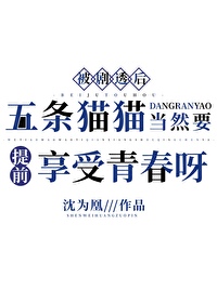 五条猫猫是什么