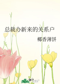 总裁办新来的关系户番外