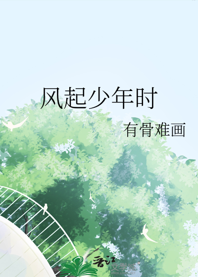 风起少年时小说
