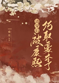 清穿成为康熙皇后的小说