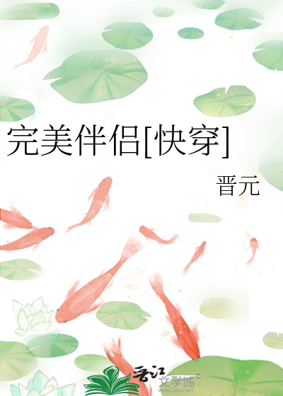 完美的伴侣电视剧