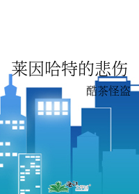 莱因哈特故事