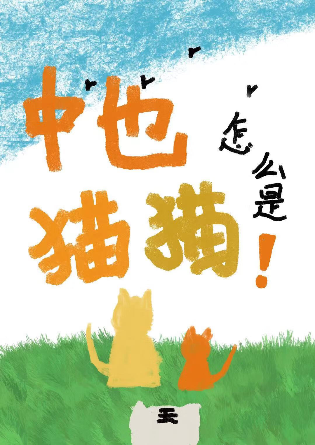 猫猫是怎么配对的