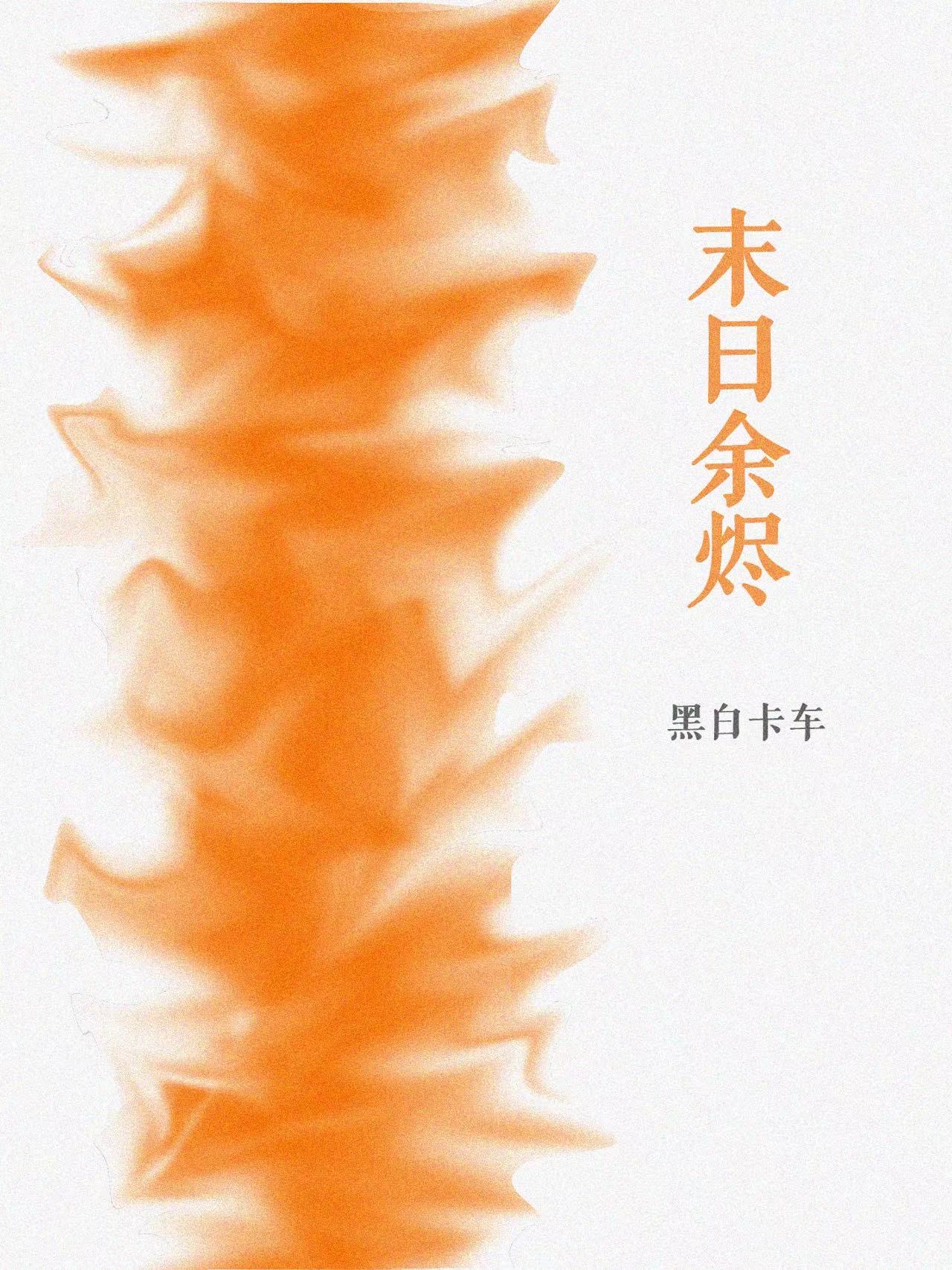 余烬小说讲的是什么