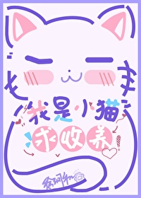 附近免费领养小猫