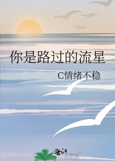 流星路过会想你歌词