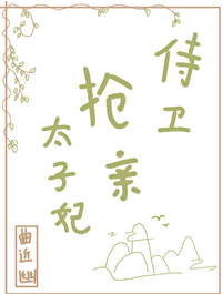 侍卫对太子妃自称