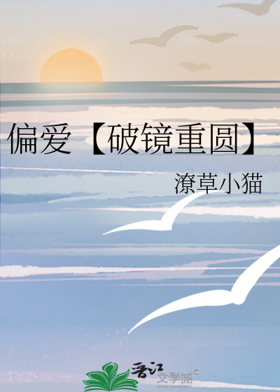 小说《偏爱》