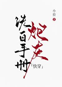 炮灰洗白手册破解