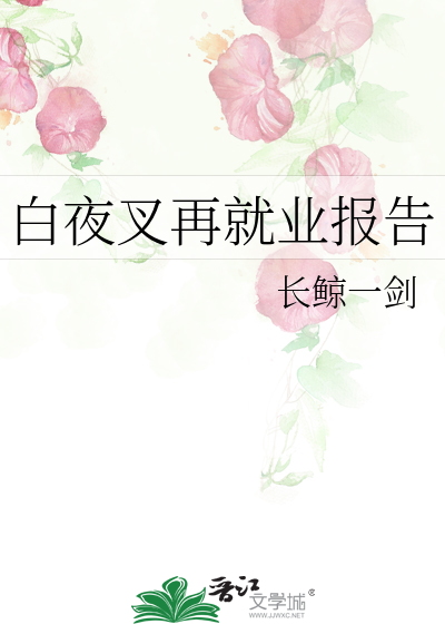 白夜叉集数