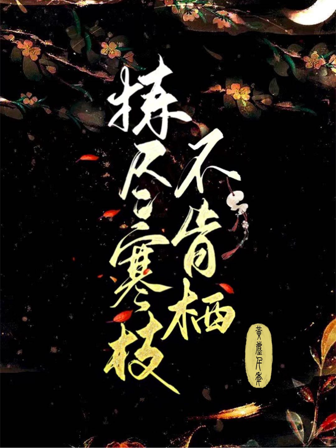 拣尽寒枝不肯栖寂寞沙洲冷的情感