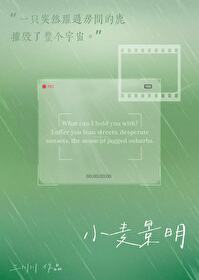 小麦景明小说全文