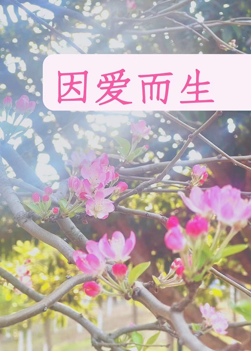 因爱而生电影免费播放