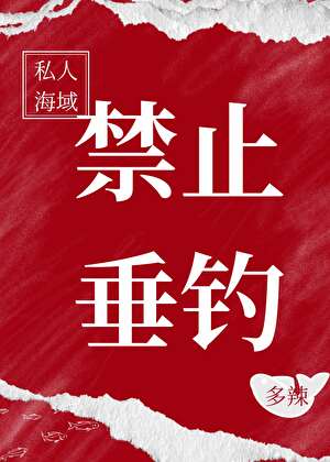 布拉格往事二战TXT电子书