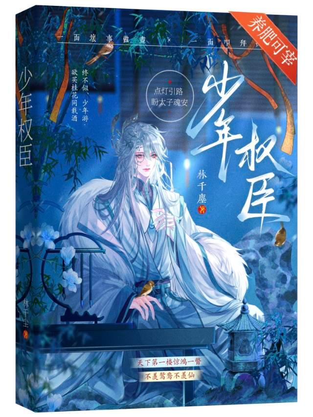 我是心机小炮灰 小说