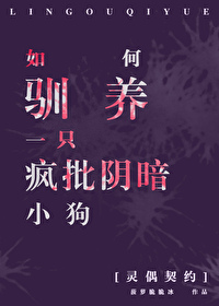 灵偶契约1解说