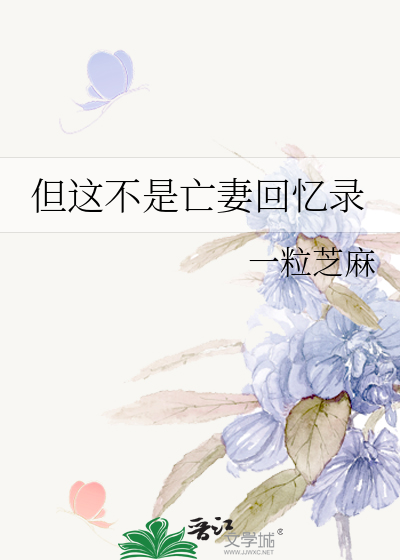 亡妻回忆录是什么