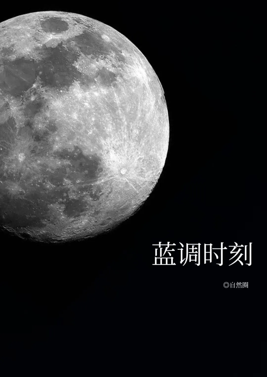 炮灰的一千种死法 [西幻]